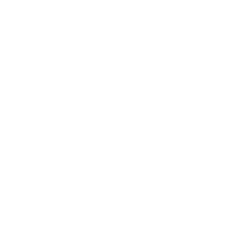 Consultoria de Processos